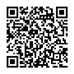 天火塔和小胖在九焰异火诀只是达到第十层次级的情况下二维码生成