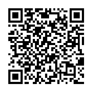 天火皇好像是每次被落到绝境都会爆发出更强的招数二维码生成