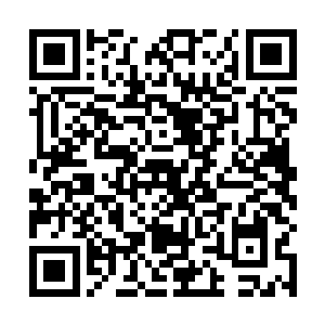 天灵大陆上来的这五十个高手就仿佛是蝼蚁一样的存在二维码生成