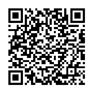 天灵殿殿主毫不怀疑一滴金色血液就能杀死一名圣帝二维码生成