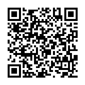 天烈过来一手一个将两人提起来走出了房间来到客厅二维码生成