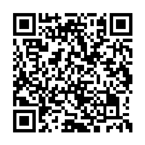 天狮佣兵团的神级强者有些希望李峰是冒牌货了二维码生成