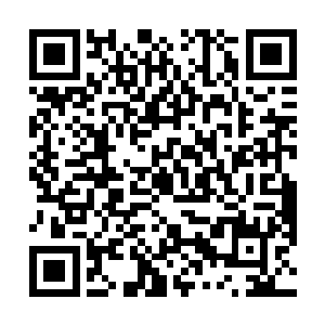 天狮佣兵团的神级强者算是彻底的绝了杀李峰的念头了二维码生成