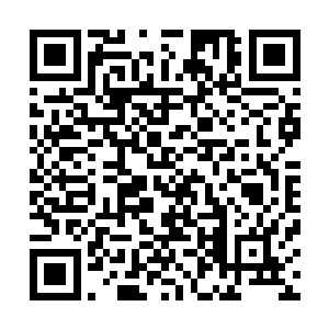 天狼当时因为利用了骊山奴残骸上的零件来对自身进行改造二维码生成