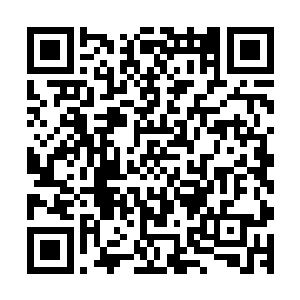 天痕家族的领地里每天都会有一个黄金级的长老负责巡逻守夜二维码生成