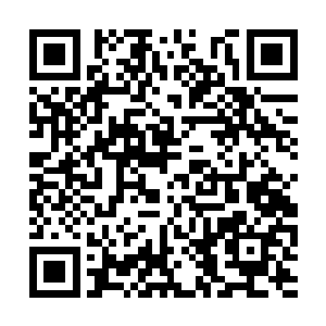 天皇裕仁原本呆若木鸡地看着百变星君和修罗大战二维码生成