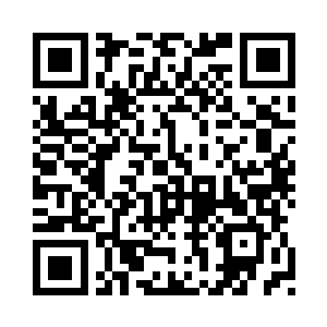 天真到真的认为你可以替我做主了二维码生成