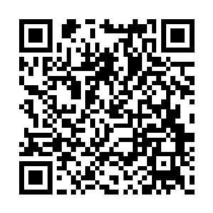 天眼之下忽然看到了一个仿佛是人类修士的身体二维码生成