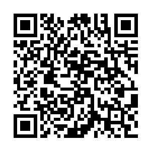 天知道从马场里面搜出这几具尸体被人认出来的时候二维码生成