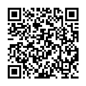 天知道别的门派会不会用更好的条件将孙子轩挖过去二维码生成