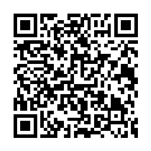 天知道她在看到夜染吐血不断却帮不上忙的时候二维码生成