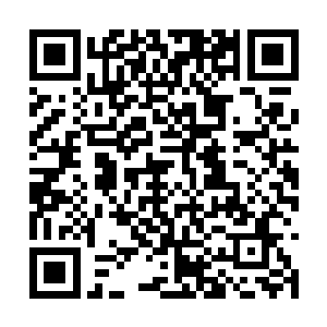 天神雪莲等对胎儿好的药材都拿出来给娘娘安胎用二维码生成