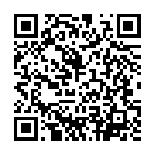 天禅子与阴魔不约而同地发现了这一本神秘的古卷二维码生成