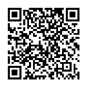 天空中漫卷的花龙在她的指挥下扑向那冲刷而来的血浪二维码生成
