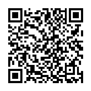 天空之中便是陡然出现了几面薄如蝉翼的轻纱一般的事物二维码生成