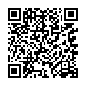 天网的实力还有其的隐秘性及其忠诚性怕是都要出现问题的二维码生成