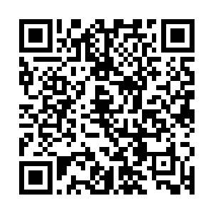 天罗伞的十二伞架直接化成了一道道的攻击朝着那边招呼了过去二维码生成
