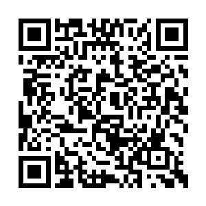 天罗血煞枪的器灵才能够融合进天罗血煞枪之中二维码生成