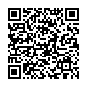 天蓬举着九齿钉耙拼尽最后一丝力量朝着猴子砸了过去二维码生成