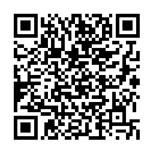 天蓬撑着身旁的唯一挺立的木桩缓缓地站了起来二维码生成