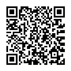 天赋不好的他被宗门的人不被看好就是理所当然的了二维码生成