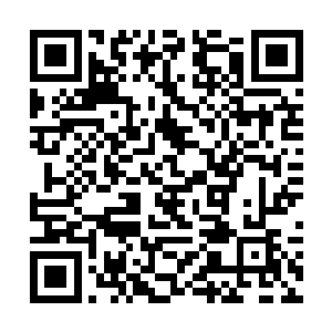 天赐婆婆笑眯眯的将夜染几人的表情都收到眼底之后二维码生成