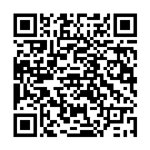 天还没黑就传来了六皇子在假山上玩耍不小心摔了下来二维码生成