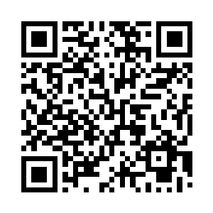 天逐渐黑了下来也没有看到残狼出现二维码生成