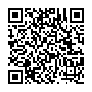 天道像是一个老熟人一样的和周东飞两个人打着招呼二维码生成