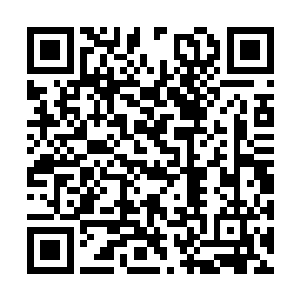 天道受伤的消息第一时间传到了流年等人的耳朵里二维码生成