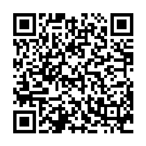 天道和夏琪目瞪口呆的看着俏兮兮站在杨霍身边的蓝灵二维码生成