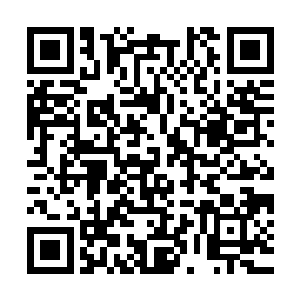 天道微微笑着看着苏洛腆着个大肚子笨笨地向着客厅里方向走去二维码生成