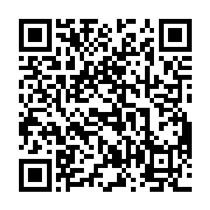 天道的确是在流年羞涩无比的害羞中脱掉了自己的衣服二维码生成