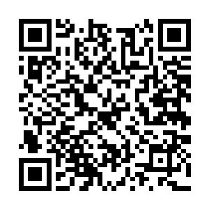 天道笑呵呵的手指轻弹了一下紫雪柔软上的那樱桃二维码生成