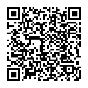 天道给与周东飞和白家林的笑意实在是和他面对流年等人时候的笑意截然不同二维码生成
