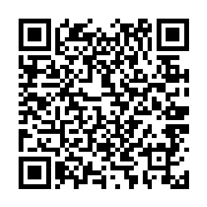 天道走到流年和蓝灵的面前一把将两个人搂在怀里二维码生成