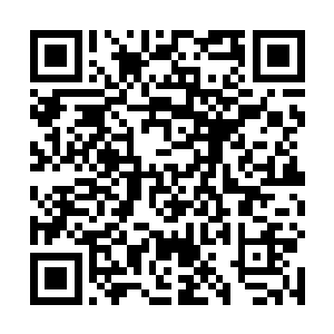 天邪子的身上找不到半点之前面对那紫袍老者时的滑稽二维码生成
