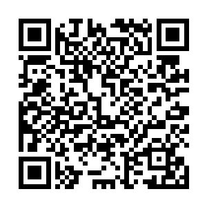 天都子涵忽然明白当年神族会那么着急灭掉叁仟剑族了二维码生成