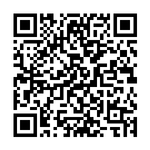 天门高层这还是第一次这么大规模的进入药堂当中吧二维码生成