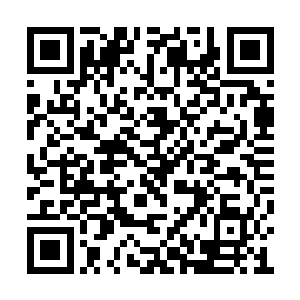 天际线那一抹橘色的晨光宛若在夜幕上晕开一般二维码生成