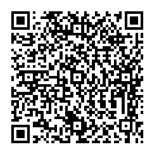 天雷队是季疏云为了更好的使用天雷珠撞门挑选无极宫和九霄仙宫的经验严家训练之后诞生的二维码生成