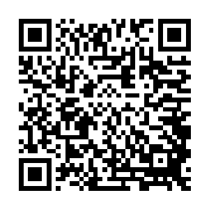 天青大人目前给的命令只是让我把这些人的行踪全部揪出来而已二维码生成