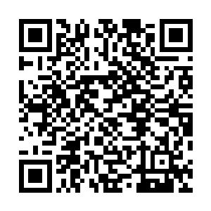 天音阁最强弟子此刻正在那青年怀中安静地看着这一幕了二维码生成