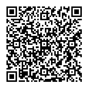 天魂山这边几乎变成了一个彻头彻尾的练兵场――照日天宗年青一代弟子拉到这边来锻炼训练修炼二维码生成