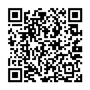 天魔女我们去前面查看一下吧看看能不能找到回去的路二维码生成