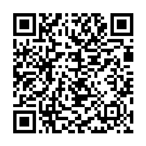 天鹤家族的太上长老鹤千尺是如何知晓自己抓走水韵蓝的二维码生成