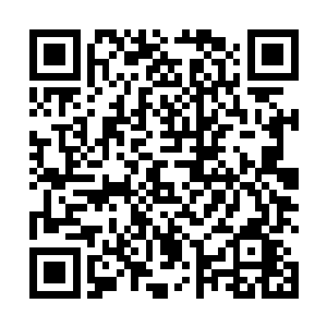 太上君瑾的眼力可不是武道大陆的这群没落武神可比的二维码生成