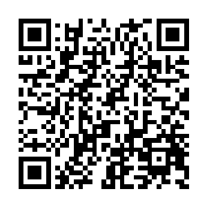 太上大长老将事情的经过简单的跟他们说了一下二维码生成