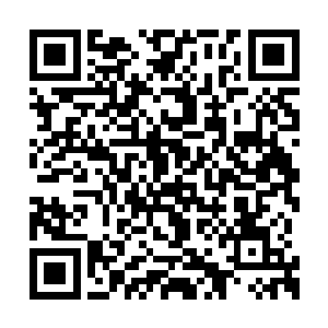 太上大长老的目光看向了现场的众人值得您收藏二维码生成