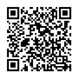 太上老君有吃了就能成仙的仙丹……老先生你将我复活二维码生成